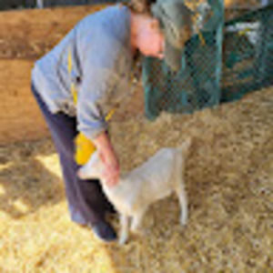 Meet your Posher, Linda